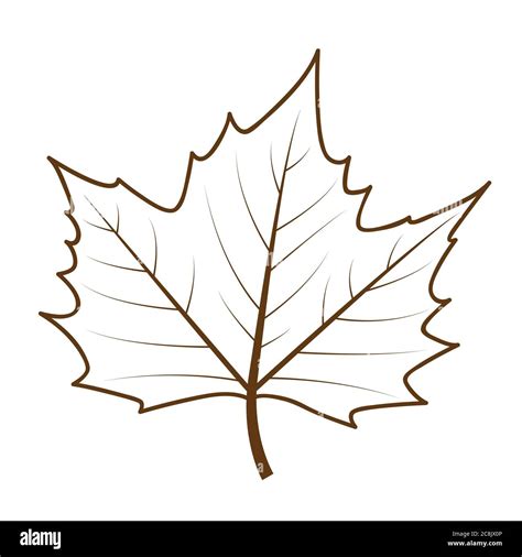 autumn leaves outline|autumn leaf outline drawing.